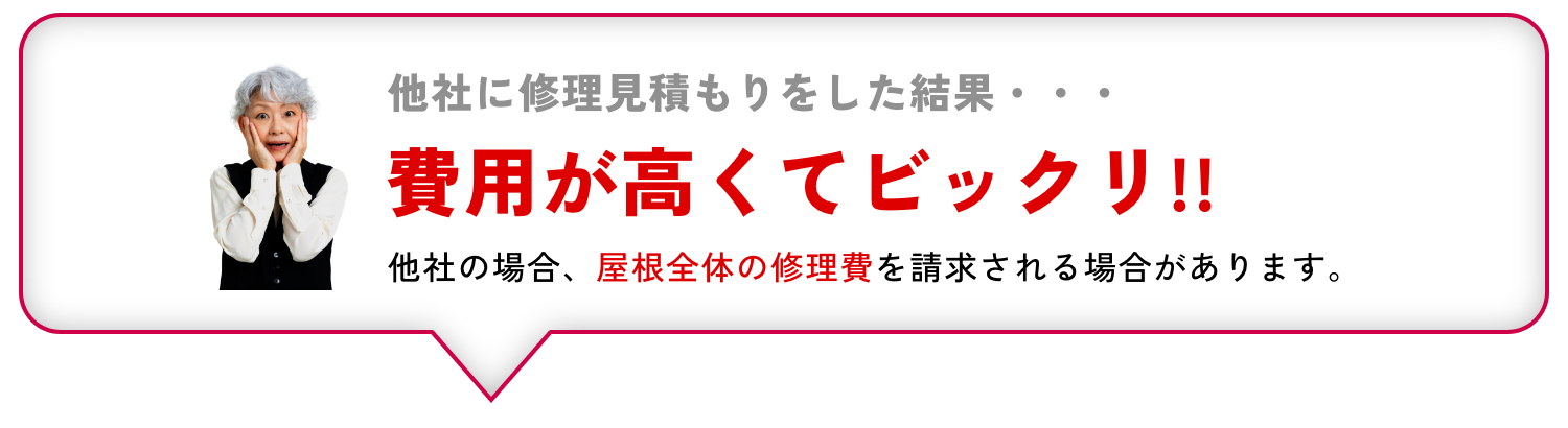 他社に修理見積もりをした結果・・・費用が高くてビックリ!!他社の場合、屋根全体の修理費を請求される場合があります。