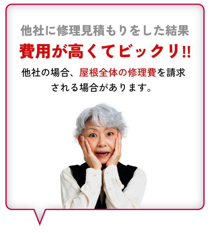 他社に修理見積もりをした結果・・・費用が高くてビックリ!!他社の場合、屋根全体の修理費を請求される場合があります。